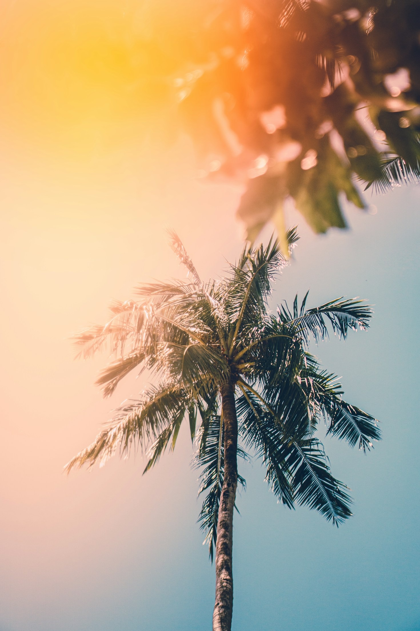 L’importanza dell’idratazione durante le ondate di calore
